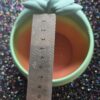 Sloth pot plant holder - Image 2