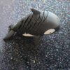 Orca - Image 2