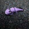 Axolotl - Image 2