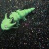 Axolotl