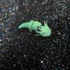 Axolotl